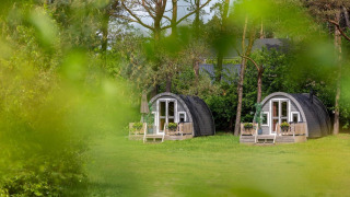 Dos acogedoras cabañas de madera en Wilsumer Berge, Alemania, rodeadas de árboles y vegetación verde.