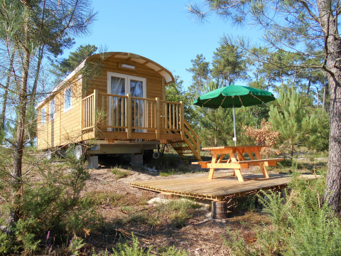 Eine Holzhütte namens Roulotte mit Terrasse und Picknicktisch im Wald bei Huttopia Landes Sud, Frankreich.