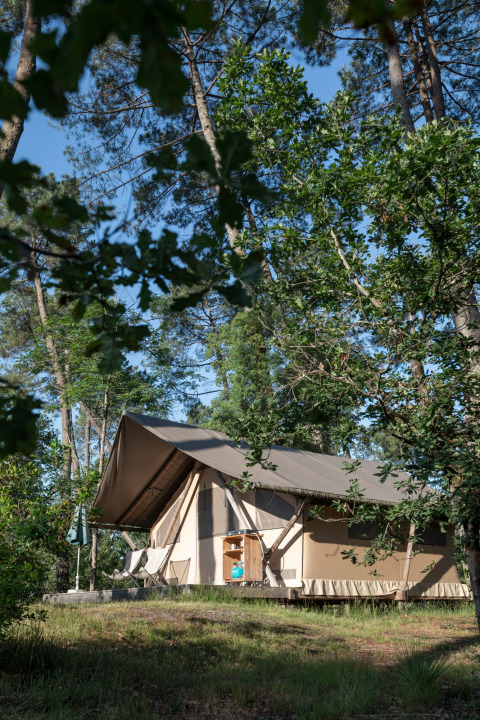 Tenda safari Trappeur all’Huttopia Landes Sud in Francia, immersa tra alberi e vegetazione rigogliosa.