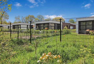 Feriepark med moderne hytter og grønne græsplæner bag et sort trådhegn i Gelderland, Holland.
