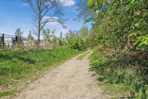 Sendero terroso rodeado de vegetación en Uniq Leisure, un parque vacacional en Gelderland, Países Bajos.