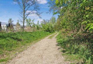Sentiero naturale tra alberi verdi nel parco vacanze Uniq Leisure, Gelderland, Paesi Bassi, in una giornata di sole.