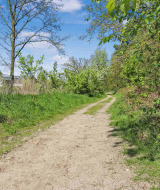 Sendero terroso rodeado de vegetación en Uniq Leisure, un parque vacacional en Gelderland, Países Bajos.