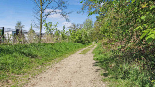 A sandy path surrounded by lush greenery and trees in Uniq Leisure holiday park, Gelderland, Netherlands.