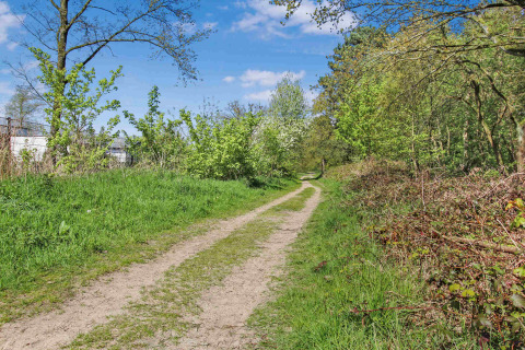 Een zandpad loopt door groene bomen en struiken in het Uniq Leisure vakantiepark, Gelderland, Nederland.