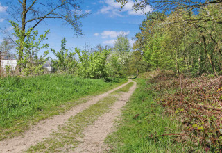 Ein Schotterweg führt durch grüne Vegetation und Bäume im Ferienpark Uniq Leisure, Gelderland, Niederlande.
