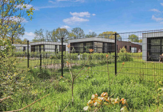 Feriehuse ved Uniq Leisure holiday park i Gelderland, Holland, med grønne haver og metalhegn under blå himmel.
