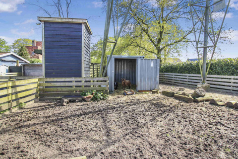 Área exterior cercada con cobertizos, gallinas y una cabra en Uniq Leisure, parque vacacional en Gelderland.