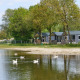 Chaletter ved søbredden med svaner i vandet på Camping 't Veld i Holland, omgivet af grønne træer.