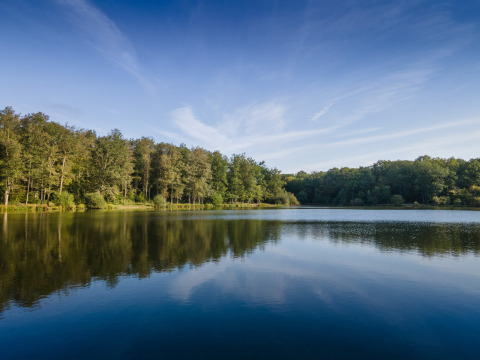 Lago tranquilo rodeado de árboles y cielo azul en el parque vacacional Huttopia Rambouillet, Île de France, Francia.