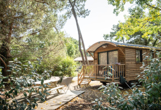 Cabaña Roulotte de madera entre árboles, con terraza, sillas de jardín y banco de picnic al sol.