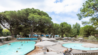 Zona de piscina con sombrillas y tumbonas rodeada de pinos en Huttopia Chardons Bleus - Ile de Ré.