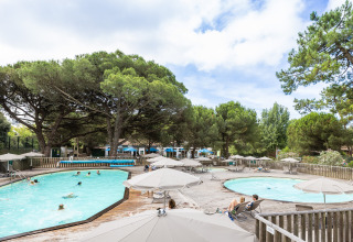 Zona de piscina con sombrillas y tumbonas rodeada de pinos en Huttopia Chardons Bleus - Ile de Ré.