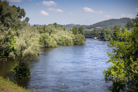 Rivier met weelderig groen langs Beaulieu-sur-Dordogne, Occitanië, Frankrijk, met een brug in de verte.