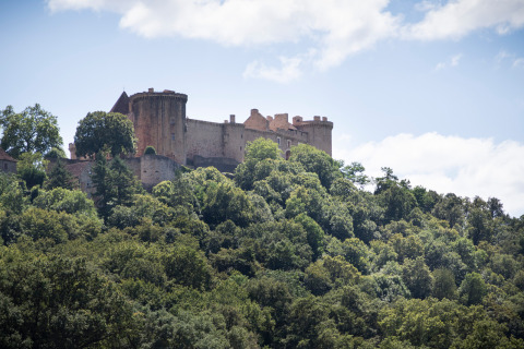 Un antico castello domina una collina boscosa vicino a Beaulieu-sur-Dordogne, in Occitania, Francia, sotto il cielo azzurro.