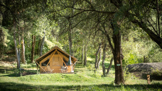 Una tenda safari chiamata Canadienne Tent II si trova in una radura verde, circondata da alberi e con sedie fuori.