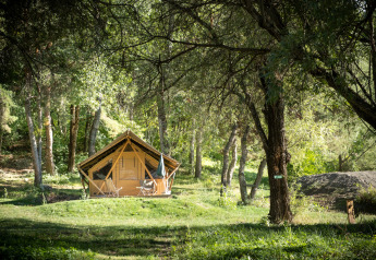 Een safaritent genaamd Canadienne Tent II staat in een groene bosrijke open plek met stoelen ervoor in het zonlicht.