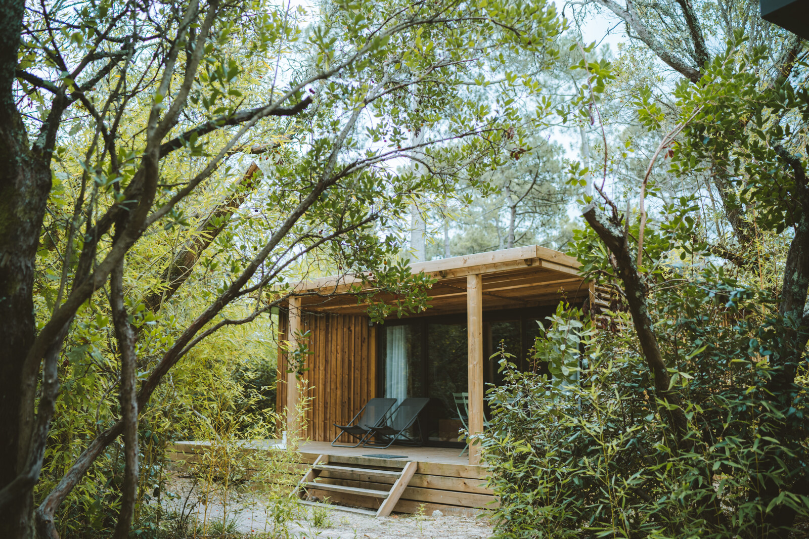 Chalet Portland, een houten chalet in een groene bosrijke omgeving, met terras en ligstoelen.