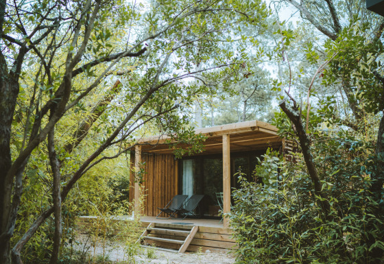 Chalet Portland, en træhytte omgivet af frodig skov, med terrasse og liggestole i naturlige omgivelser.