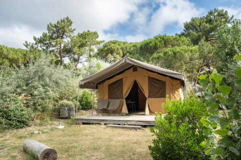 Safari teltet Toile&Bois ved Huttopia Chardons Bleus - Ile de Ré, omgivet af grønne træer og buske.