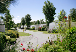 Holiday cabins surrounded by greenery and flowers at Camping Seasonova Saint Michel in Normandy, France.