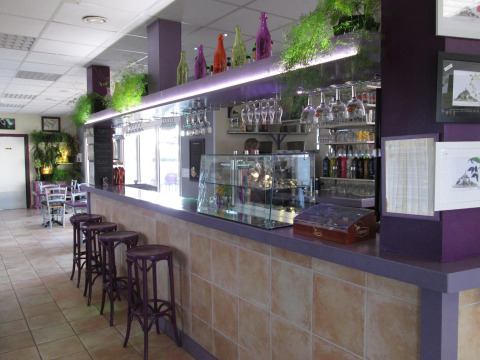Interior of the bar area at Camping Seasonova Saint Michel in Normandy, France, featuring modern decor and plants.