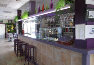 Interior of the bar area at Camping Seasonova Saint Michel in Normandy, France, featuring modern decor and plants.