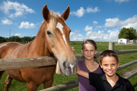 Zwei Kinder und ein braunes Pferd posieren am Zaun unter blauem Himmel im Camping Seasonova Saint Michel in der Normandie.