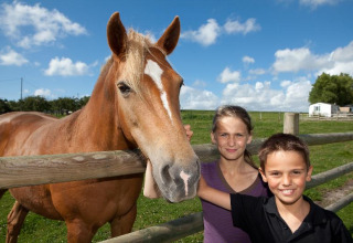 Twee kinderen en een bruin paard bij een omheining op Camping Seasonova Saint Michel in Normandië onder een blauwe lucht.