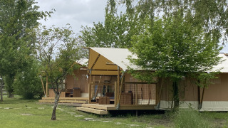Safari-telte ved Slow Lodge omgivet af grønne træer og græs, ideelle til afslappende udendørs ophold.