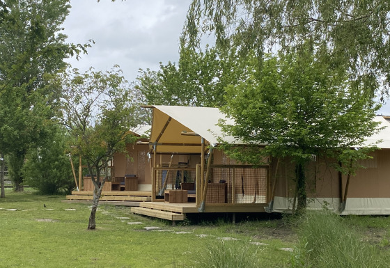 Safari-telte ved Slow Lodge omgivet af grønne træer og græs, ideelle til afslappende udendørs ophold.