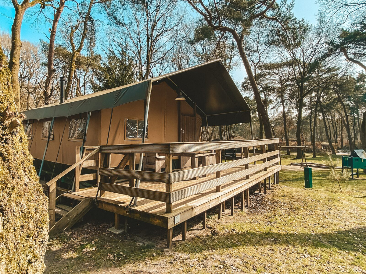 Summer Lodge