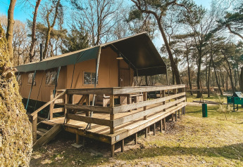 Tienda safari Summer Lodge en Beerze Bulten, Países Bajos, rodeada de bosque y luz soleada.