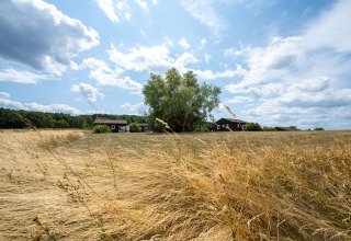 Afbeelding van Camping Seasonova Les Vosges du Nord in Grand Est, Frankrijk, met huisjes en een zonovergoten veld.
