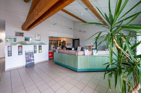 Área de recepción en Camping Seasonova Les Vosges du Nord con plantas y vigas de madera en Grand Est, Francia.