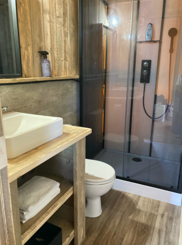 Baño moderno en tienda safari con paredes de madera, ducha de cristal, inodoro y lavabo de sobre madera.