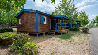 A charming wooden cabin with blue trim in a leafy glamping site, perfect for a relaxing nature retreat.