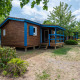 A charming wooden cabin with blue trim in a leafy glamping site, perfect for a relaxing nature retreat.