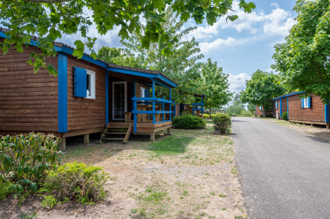 Bungalow in legno con dettagli blu in un glamping, circondati da alberi verdi e una strada asfaltata.