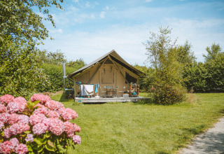 Tenda safari Tente Trappeur a Huttopia Les Falaises in Normandia, circondata da prato e fiori colorati.