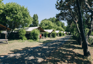 Canvas-roofed cabins along a shaded path lined with trees at Camping Seasonova Ile de Ré, France.