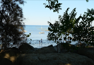Blick durch Bäume und Felsen auf das Meer bei Les Portes-en-Ré, Frankreich, mit Booten im Wasser.