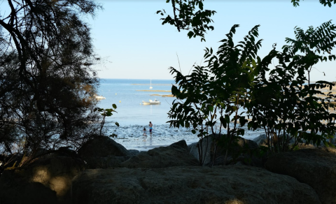 Blick durch Bäume und Felsen auf das Meer bei Les Portes-en-Ré, Frankreich, mit Booten im Wasser.