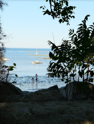 Blick durch Bäume und Felsen auf das Meer bei Les Portes-en-Ré, Frankreich, mit Booten im Wasser.