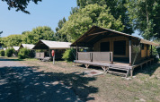 Safari tents at Slow Lodge in Camping Seasonova Ile de Ré, France, shaded by trees on a sunny day.