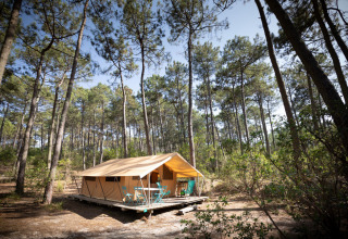 Safari teltet Bungalow tent Classic står midt i en skov med høje træer og et lille terrasseområde foran.