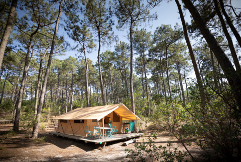 La tienda safari Bungalow tent Classic está situada sobre una plataforma de madera en un bosque de pinos.