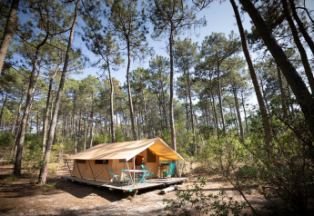 La tienda safari Bungalow tent Classic está situada sobre una plataforma de madera en un bosque de pinos.