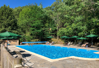 Outdoor swimming pool with lounge chairs and green umbrellas, surrounded by trees at Huttopia Gorges du Tarn, France.