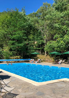 Piscina al aire libre con tumbonas y sombrillas verdes, rodeada de árboles en Huttopia Gorges du Tarn, Francia.